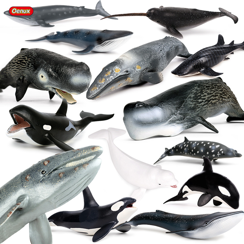 Kids Without Education - Oenux Ocean Animal Savage Megalodon Beluga