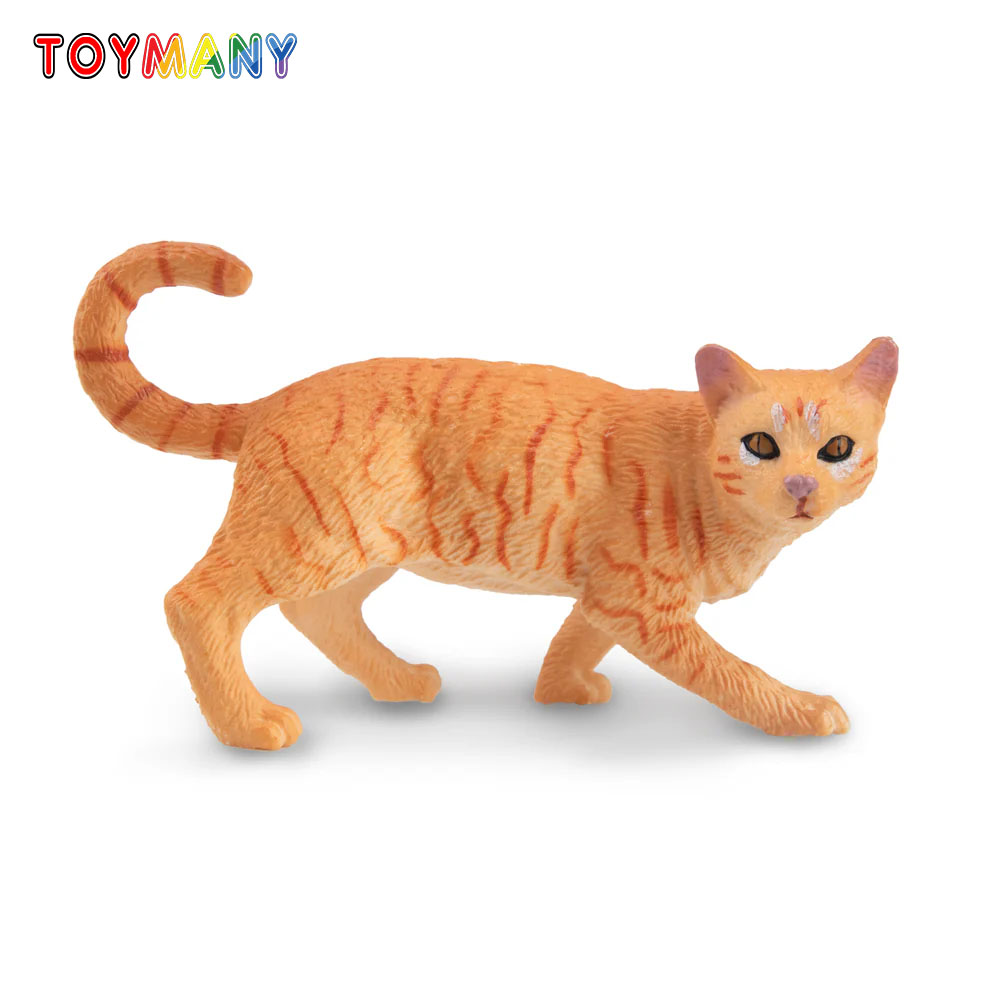 Toymany simulación estriando g - Kids Education Yes reseña y precio